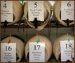 Beer Festival