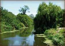 The Royal Military Canal
